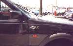 Polo style badge in Belgie